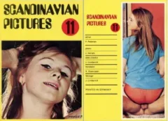 Scandinavian Pictures 11
